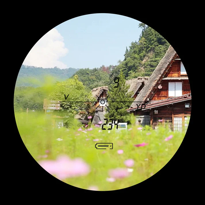 Range finder D1200