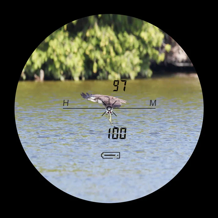 Range finder D1200