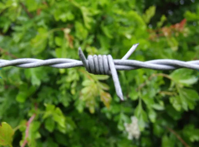 Tornado  Titan Barb Wire 200m