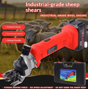 Shearing Machine